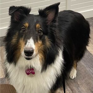 Meet your Posher, Natalie